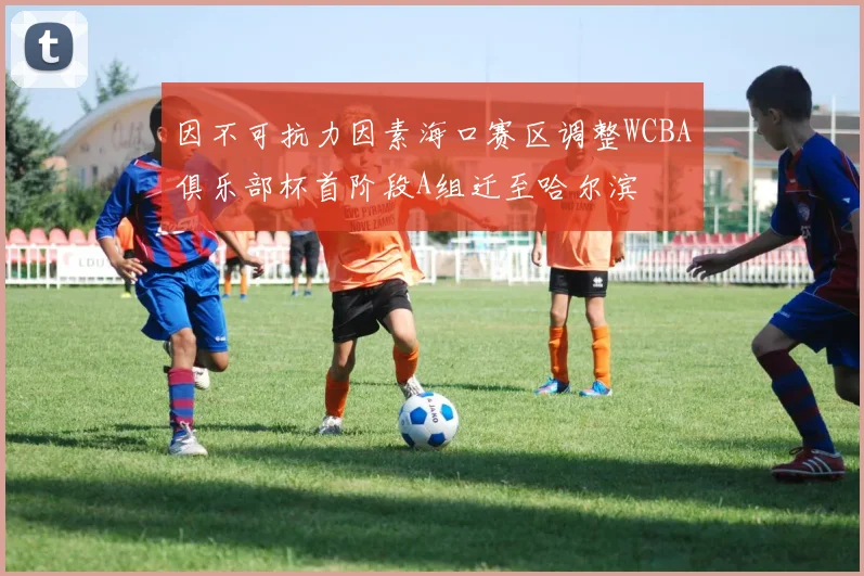 因不可抗力因素海口赛区调整WCBA俱乐部杯首阶段A组迁至哈尔滨